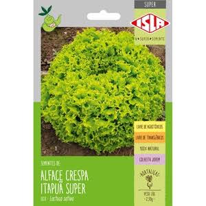 ISLA - ALFACE ITAPUA (CRESPA) 28