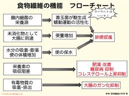 「食物繊維」の画像検索結果