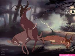 hentai deer furry human on feral - Free Hentai Pic