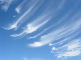 Cumulus clouds that do not get very tall are indicators of fair weather. Cirrus Clouds Cirrus Cloud Clouds Cloud Type
