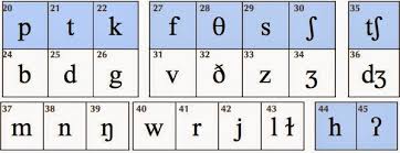 The consonant clusters/ sequence belonging to a single syllable are known as. Consonant Meaning In Urdu