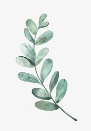 Watercolor Leaves Fresh Literature And Art Leaves Leaf Watercolor Literature Art Green Clipart Leav Watercolor Leaves Watercolor Plants Watercolour Inspiration