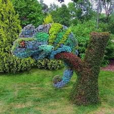 Succulents Topiary In The Shape Of A Chameleon Montreal Botanical Gardens Botanischer Garten Garten Pflanzen Skulpturen Garten