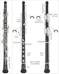 Woodwind Fingerings Other Sciences Science Forums