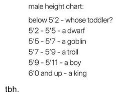 Male Height Chart Below 52 Whose Toddler 52 55 A Dwarf