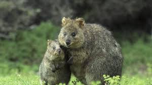 Ghim Tren Wallpapershd Info