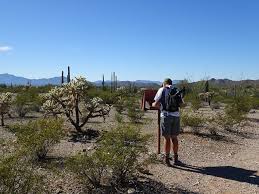 The latest tweets from organ pipe cactus nm (@organpipenps). Last Hikes In Organ Pipe Cactus National Monument Oh The Places They Go