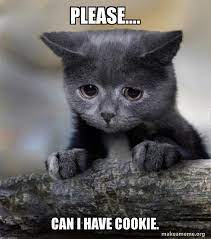 Maybe you would like to learn more about one of these? Please Can I Have Cookie Confession Cat Make A Meme