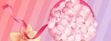 七夕情人節夢幻粉色花瓣背景 pink background plants pink