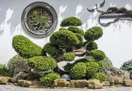 Immergrune Baume Sorgen Nicht Nur Fur Farbe Auf Ihrem Grundstuck Sie Bieten Auch Ganzjahrigen Sicht Und Windschutz Fu Mit Bildern Immergruner Garten Baume Garten Garten