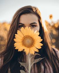 Pin By Gozde Karademir On Sunflowers Sunflower Photography Portrait Photography Poses Creative Photography