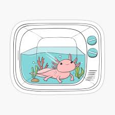 Anything over the maximum of 18 degrees celsius is very problematic for axolotls. Axolotl Tank Gifts Merchandise Redbubble