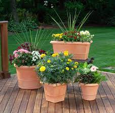 35 Patio Potted Plant And Flower Ideas Creative And Lovely Photos Potted Plants Patio Patio Container Gardening Small Potted Plants