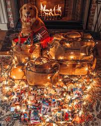 Kiel James Patrick Kjp On Webstaqram Posts Videos Christmas Christmasgifts Dogs I Love My Friends Kiel James Patrick Cabin Life