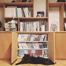 漫画大好きな方に朗報 こなれて見える漫画の収納法をご紹介 folk 漫画収納 収納 アイデア 収納 住宅