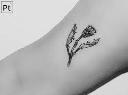 We did not find results for: Scottish Thistle Tattoo I Like That How Small It Is And How Much It Looks Like The Hallmark Thistle Bu Thistle Tattoo Scottish Tattoos Scottish Thistle Tattoo