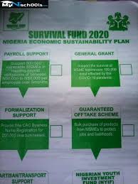 Latest Updates Nigeria Youth Investment Survival Fund Registration Has Started Interested Applicant Can N In 2020 Investing Small And Medium Enterprises How To Apply
