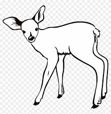 Free printable deer coloring pages for kids. Big Image Baby Deer Coloring Pages Free Transparent Png Clipart Images Download