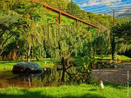 Save hôtel du soleil levant to your lists. Parc Animalier Des Pyrenees