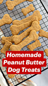 Adrian Boatman (rainydaygrooming)