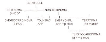 seer training tumor markers