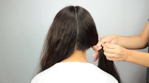 Here is a great way to wear double braids. How To Do Double French Braids With Pictures Wikihow