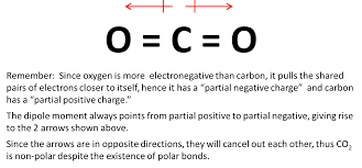 When two water molecules get close together, the polar forces work to draw the molecules together. Must Polar Bonds Give Rise To Polar Molecules And Why Is Water A Polar Molecule Anhourofchemaday