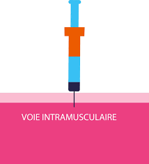 Ces vaccins sont injectés par voie intramusculaire dans la région du deltoïde. Comment Se Deroule L Administration D Un Vaccin Vaccination Info Service