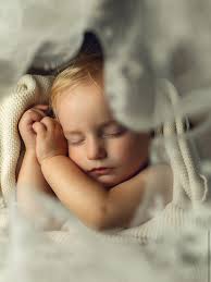 Nature's little gems are sunshine for the soul. Study nature with  @englarphotos and give this talented female artist a follow for more  amazing content sure to brighten your feed! ⭐️Want to be