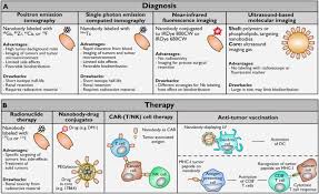 Liquid in 0.01m phosphate buffered saline; Nanobodies In Cancer Sciencedirect