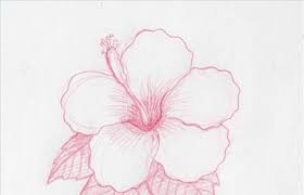 Browse 513 hawaiian flower drawing stock photos and images available, or start a new search to explore more stock photos and images. Pretty Flowers To Draw Archives Page 680 Of 714 Flowers Tn Leading Flowers Magazine Daily Beautiful Flowers For All Occasions