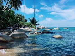 Bãi Xếp (Bãi Cây dừa nằm) - Hòn Sơn ngày nắng đẹp 🏖🏖 #KienGiangNews