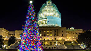 District of columbia united states washington d.c. 10 Best Christmas Trees In Washington Dc You Must See This December Kid 101