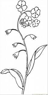 Free educational coloring pages and activities for kids. Forget Me Not 2 Coloring Page For Kids Free Flowers Printable Coloring Pages Online For Kids Coloringpages101 Com Coloring Pages For Kids