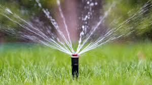 How many days per week to water a lawn. Hillsborough County When Are My Watering Days