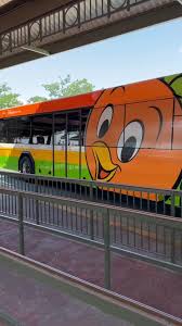 Image result for Orange 1988 Fleet