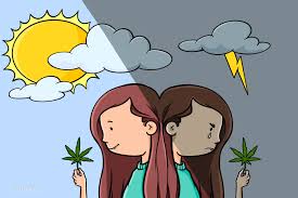 Image result for Cluster B Personality Disorder