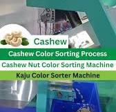 Automatic Cashew Color Sorting Process🤩Kaju Color Sorter🔹Cashew Nut Color Sorter Machine #cashew, 𝐓𝐨 𝐬𝐭𝐚𝐫𝐭 𝐭𝐡𝐢𝐬 𝐁𝐮𝐬𝐢𝐧𝐞𝐬𝐬 𝐂𝐨𝐧𝐭𝐚𝐜𝐭 𝐡𝐞𝐫𝐞 , 📞:-Mob : +91 90164 60661, Rami international, Ahmedabad, ...