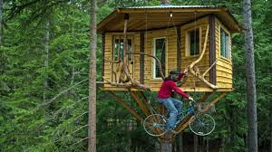 15 simple diy kids treehouse ideas. Simple Tree House Ideas On Pinterest Youtube