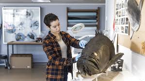 Profile for Palumbo Conservation Services