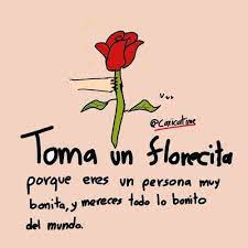 Floreria Nataly Frases Para Dedicatoria Cuando Facebook