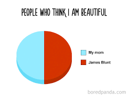 15 Pie Charts That Are So True Demilked