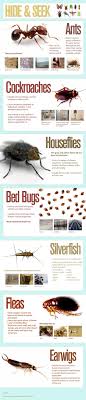 Where Bugs Are Hiding In Your House Lets Just Hope They Haven T Gotten To The Bed Yet Bugs Bed Bugs Earwigs