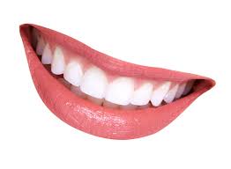 Mouth Smile Png Image Purepng Free Transparent Cc0 Png Image Library Mouth Png Images Transparent