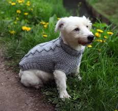 More than 100+ free vest knitting patterns, knit your very own handmade vest to keep you warm this fall and winter. What You Need To Know About Knitted Dog Coats Fashionarrow Com