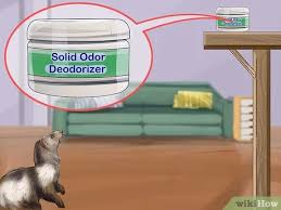 Bathing them will get rid of the smell completely, but to compensate for the dry skin from bathing, a ferret will secrete oils which will actually make them smell stronger after a week or so. bathing them once every two or three months would be just enough. 3 Ways To Reduce Ferret Odor Wikihow