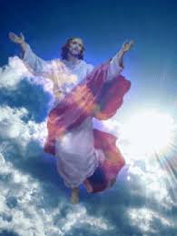 Https Encrypted Tbn0 Gstatic Com Images Q Tbn And9gctmmqpjjitzbihw7bmbncdmh3kzwgkkuajf7q Usqp Cau