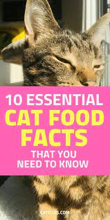 What S In Cat Food Ingredients To Avoid And Homemade Food Tips Natural Cat Food Healthy Cat Food Homemade Cat Food