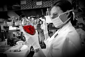 Image result for farmaci svizzeri