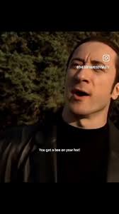 POV you’ve got a bee